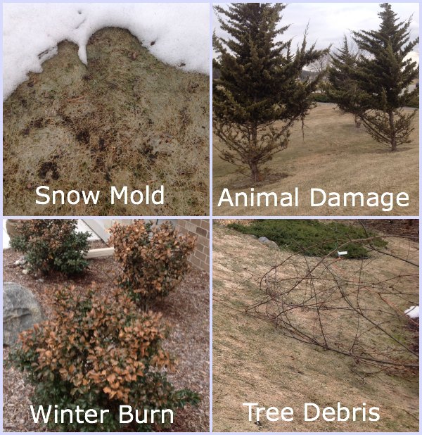 If Your Yard Looks Like This, You Need "The Works" | Reder Landscaping