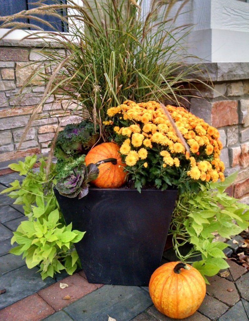 Add Seasonal Color with Fall Container Gardens - Reder Landscaping ...