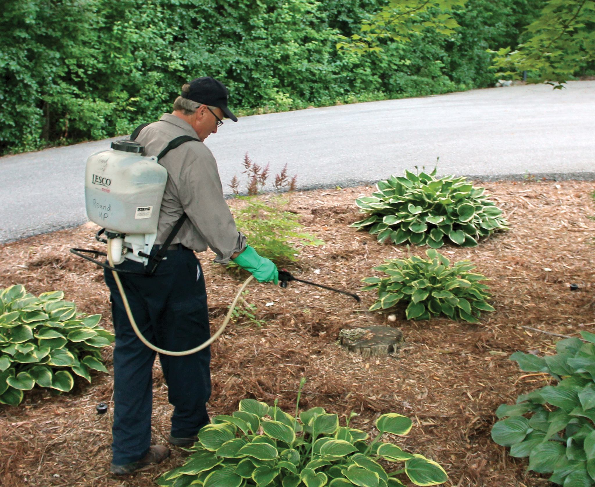 Lawn Mowing Service | Lawn Fertilizer Service | Lawn Maintenance