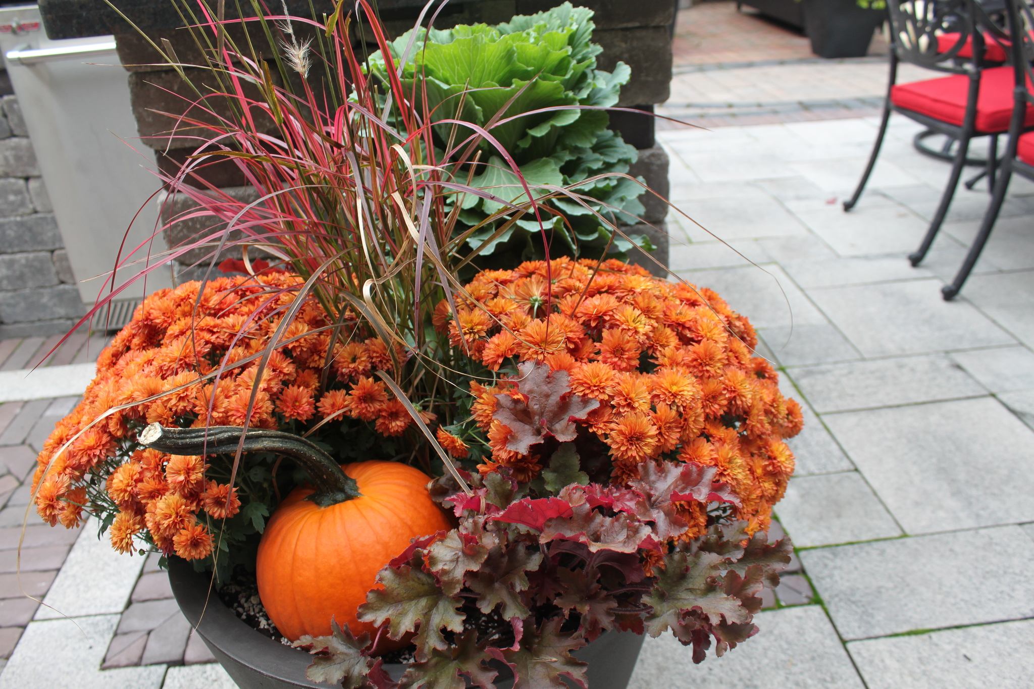 Fall Splendor Urn and Planter Filler